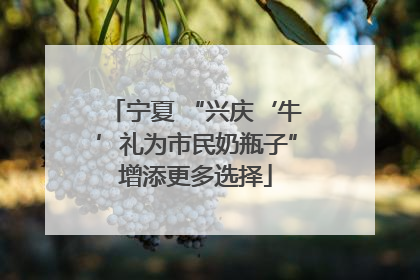 宁夏 “兴庆‘牛’礼为市民奶瓶子”增添更多选择