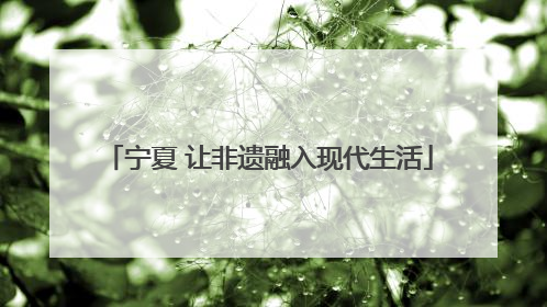 宁夏 让非遗融入现代生活