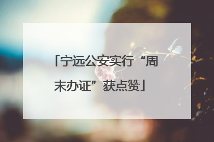 宁远公安实行“周末办证”获点赞