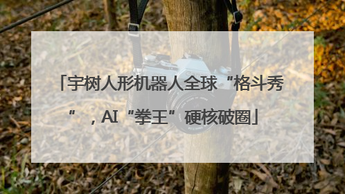 宇树人形机器人全球“格斗秀”，AI“拳王”硬核破圈