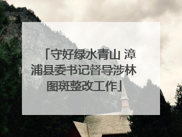 守好绿水青山 漳浦县委书记督导涉林图斑整改工作