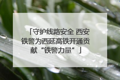 守护线路安全 西安铁警为西延高铁开通贡献“铁警力量”