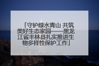 守护绿水青山 共筑美好生态家园——黑龙江省丰林县扎实推进生物多样性保护工作