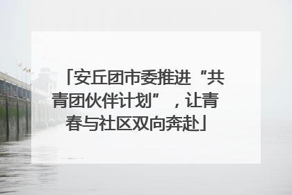 安丘团市委推进“共青团伙伴计划”，让青春与社区双向奔赴