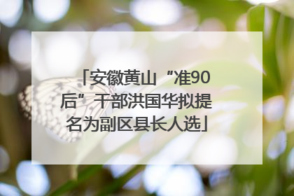 安徽黄山“准90后”干部洪国华拟提名为副区县长人选