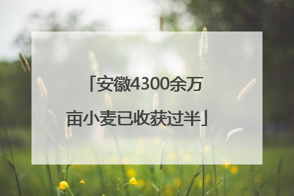 安徽4300余万亩小麦已收获过半