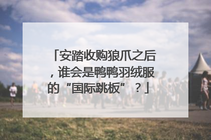 安踏收购狼爪之后，谁会是鸭鸭羽绒服的“国际跳板”？