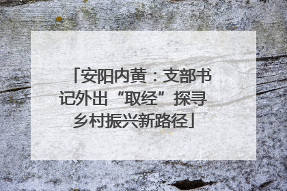 安阳内黄：支部书记外出“取经”探寻乡村振兴新路径