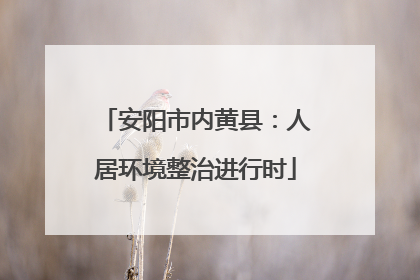 安阳市内黄县：人居环境整治进行时