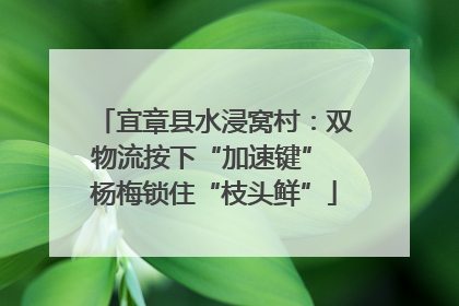 宜章县水浸窝村：双物流按下“加速键” 杨梅锁住“枝头鲜”