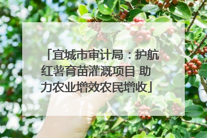 宜城市审计局：护航红薯育苗灌溉项目 助力农业增效农民增收
