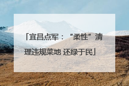 宜昌点军：“柔性”清理违规菜地 还绿于民