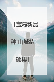 宝岛新品种 山城结硕果