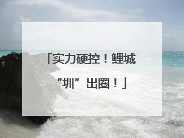 实力硬控！鲤城“圳”出圈！