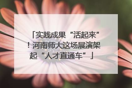 实践成果“活起来”！河南师大这场展演架起“人才直通车”
