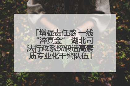增强责任感 一线“淬真金” 湖北司法行政系统锻造高素质专业化干警队伍