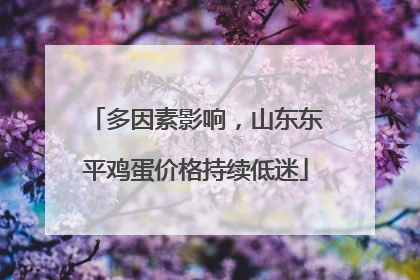 多因素影响，山东东平鸡蛋价格持续低迷