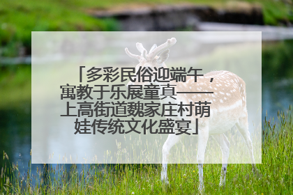 多彩民俗迎端午，寓教于乐展童真——上高街道魏家庄村萌娃传统文化盛宴