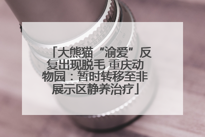 大熊猫“渝爱”反复出现脱毛 重庆动物园：暂时转移至非展示区静养治疗