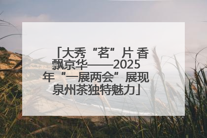 大秀“茗”片 香飘京华——2025年“一展两会”展现泉州茶独特魅力
