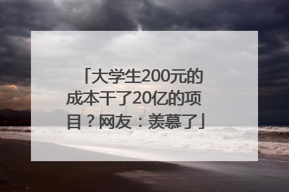 大学生200元的成本干了20亿的项目？网友：羡慕了