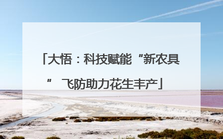 大悟：科技赋能“新农具” 飞防助力花生丰产