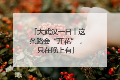 大武汉一日丨这条路会“开花”，只在晚上有
