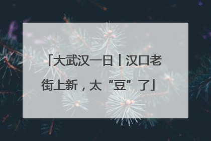 大武汉一日︱汉口老街上新，太“豆”了