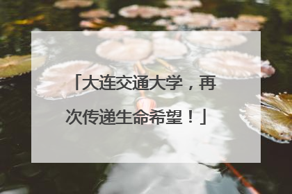 大连交通大学，再次传递生命希望！