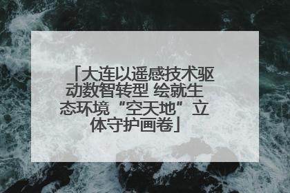 大连以遥感技术驱动数智转型 绘就生态环境“空天地”立体守护画卷