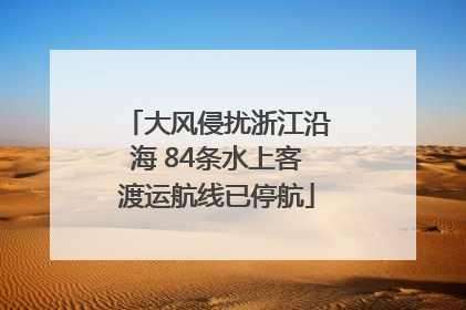 大风侵扰浙江沿海 84条水上客渡运航线已停航