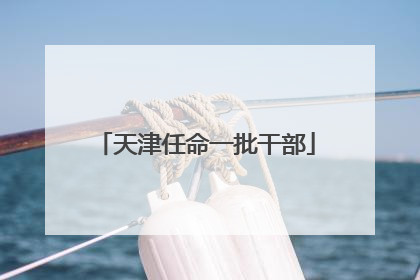 天津任命一批干部