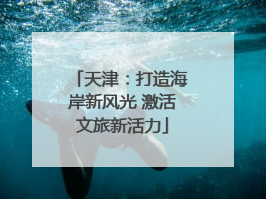 天津：打造海岸新风光 激活文旅新活力