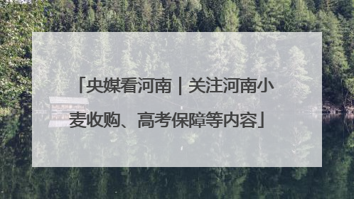 央媒看河南｜关注河南小麦收购、高考保障等内容