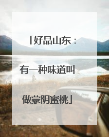 好品山东：有一种味道叫做蒙阴蜜桃