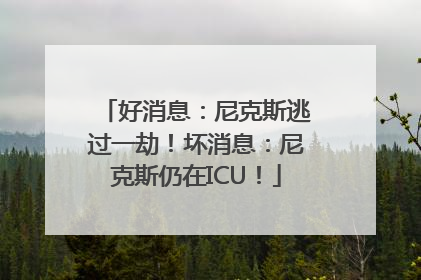 好消息：尼克斯逃过一劫！坏消息：尼克斯仍在ICU！