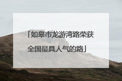 如皋市龙游湾路荣获全国最具人气的路