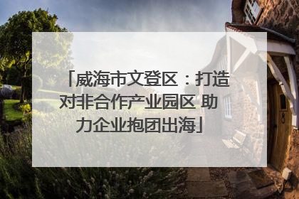 威海市文登区：打造对非合作产业园区 助力企业抱团出海