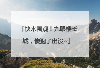 快来围观！九眼楼长城，傻狍子出没~