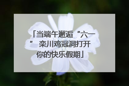 当端午邂逅“六一” 栾川鸡冠洞打开你的快乐假期