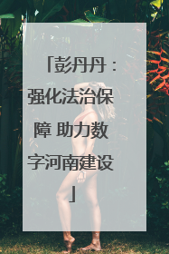 彭丹丹：强化法治保障 助力数字河南建设