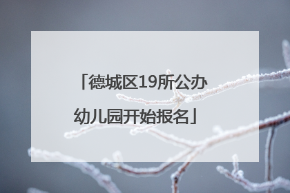 德城区19所公办幼儿园开始报名