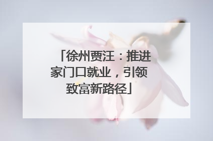 徐州贾汪：推进家门口就业，引领致富新路径