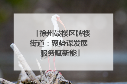 徐州鼓楼区牌楼街道：聚势谋发展 服务赋新能
