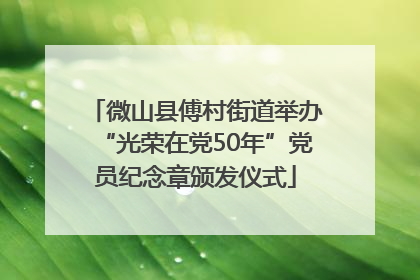 微山县傅村街道举办“光荣在党50年”党员纪念章颁发仪式