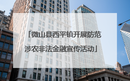微山县西平镇开展防范涉农非法金融宣传活动