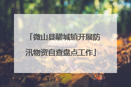 微山县驩城镇开展防汛物资自查盘点工作