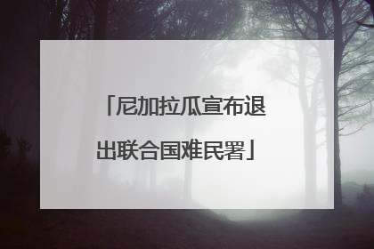 尼加拉瓜宣布退出联合国难民署