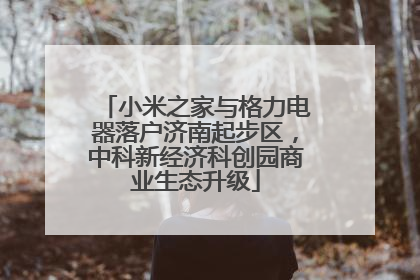 小米之家与格力电器落户济南起步区，中科新经济科创园商业生态升级