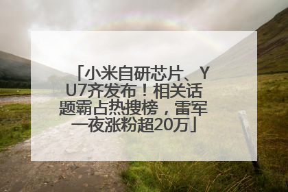 小米自研芯片、YU7齐发布！相关话题霸占热搜榜，雷军一夜涨粉超20万